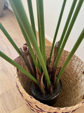 Load image into Gallery viewer, Artificial Potted Palm | 160cm