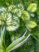 Load image into Gallery viewer, VERTICAL GARDEN PANELS UV RESISTANT 50cm X 50cm | Rose Buds