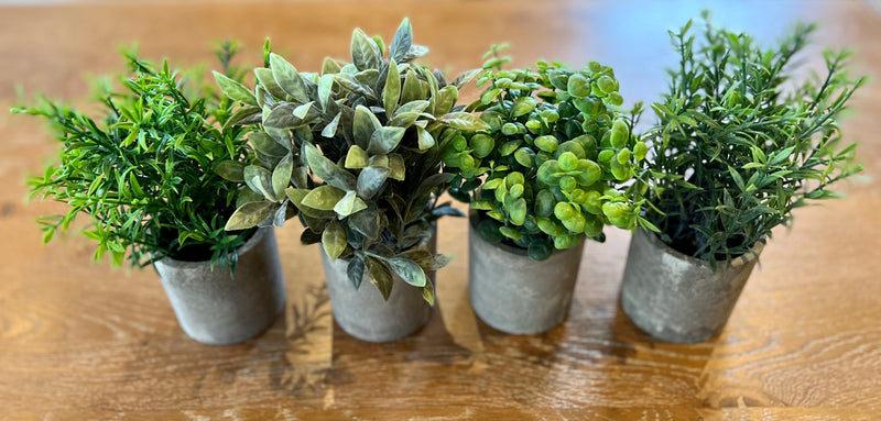 Set of 4 Artificial Potted Herbs