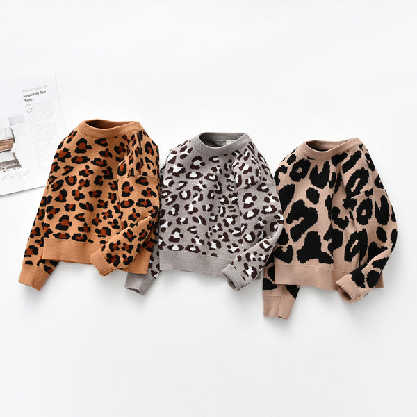 Sage Leopard Print Jumper | 3 Colours