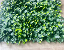 将图片加载到图库查看器,Vertical Garden Panels UV Resistant 50cm x 50cm | Small Plain