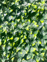 将图片加载到图库查看器,Vertical Garden Panels UV Resistant 50cm x 50cm | Small Plain