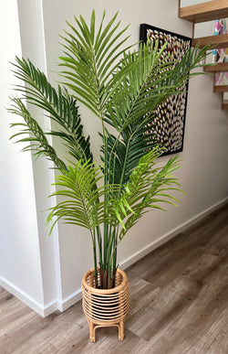 Artificial Potted Palm | 160cm