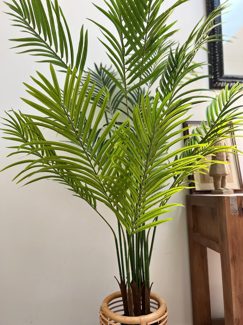 Artificial Potted Palm | 160cm