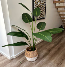 将图片加载到图库查看器,Artificial Potted Banana Palm | 150cm