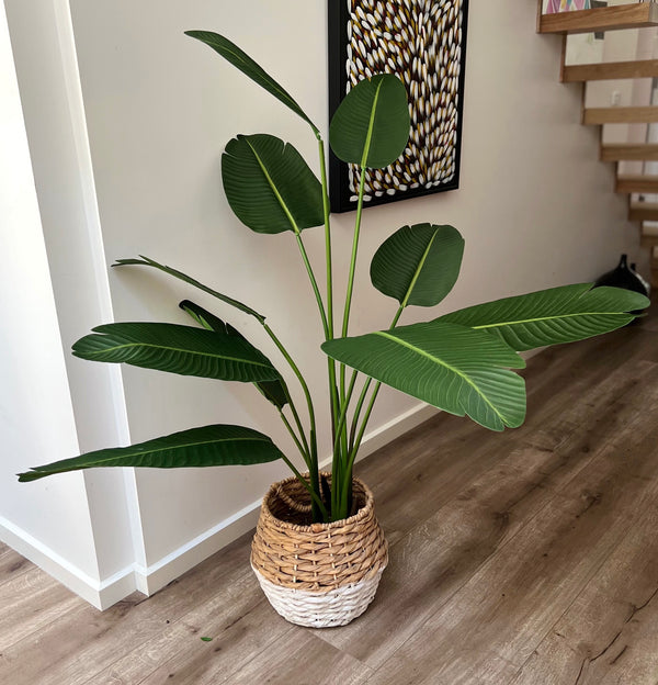 Artificial Potted Banana Palm | 150cm