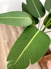 将图片加载到图库查看器,Artificial Potted Banana Palm | 150cm
