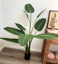 将图片加载到图库查看器,Artificial Potted Banana Palm | 150cm