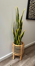 将图片加载到图库查看器,Artificial Potted Mother in Law Tongue Plant | 90cm
