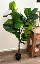 将图片加载到图库查看器,Artificial Potted Fiddle Leaf Plant | 135cm