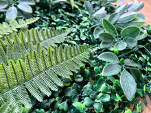 将图片加载到图库查看器,Vertical Garden Panels UV Resistant 50cm x 50cm | Green Fern