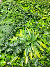 Load image into Gallery viewer, Vertical Garden Panels UV Resistant 1m x 1m | Green