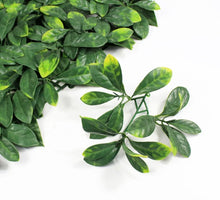 Load image into Gallery viewer, VERTICAL GARDEN PANELS UV RESISTANT 50cm X 50cm | Large Plain