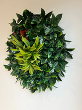 将图片加载到图库查看器,Vertical Garden Disc UV Resistant 60cm | Holly Leaf