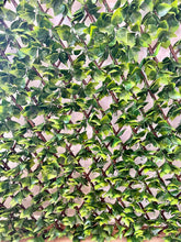Load image into Gallery viewer, Artificial Leaf Expandable Trellis | Jasmine
