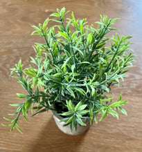 Load image into Gallery viewer, Set of 4 Artificial Potted Herbs
