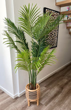 Load image into Gallery viewer, Artificial Potted Palm | 160cm
