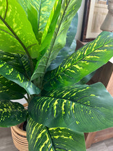 Load image into Gallery viewer, Artificial Potted Dieffenbachia | 90cm
