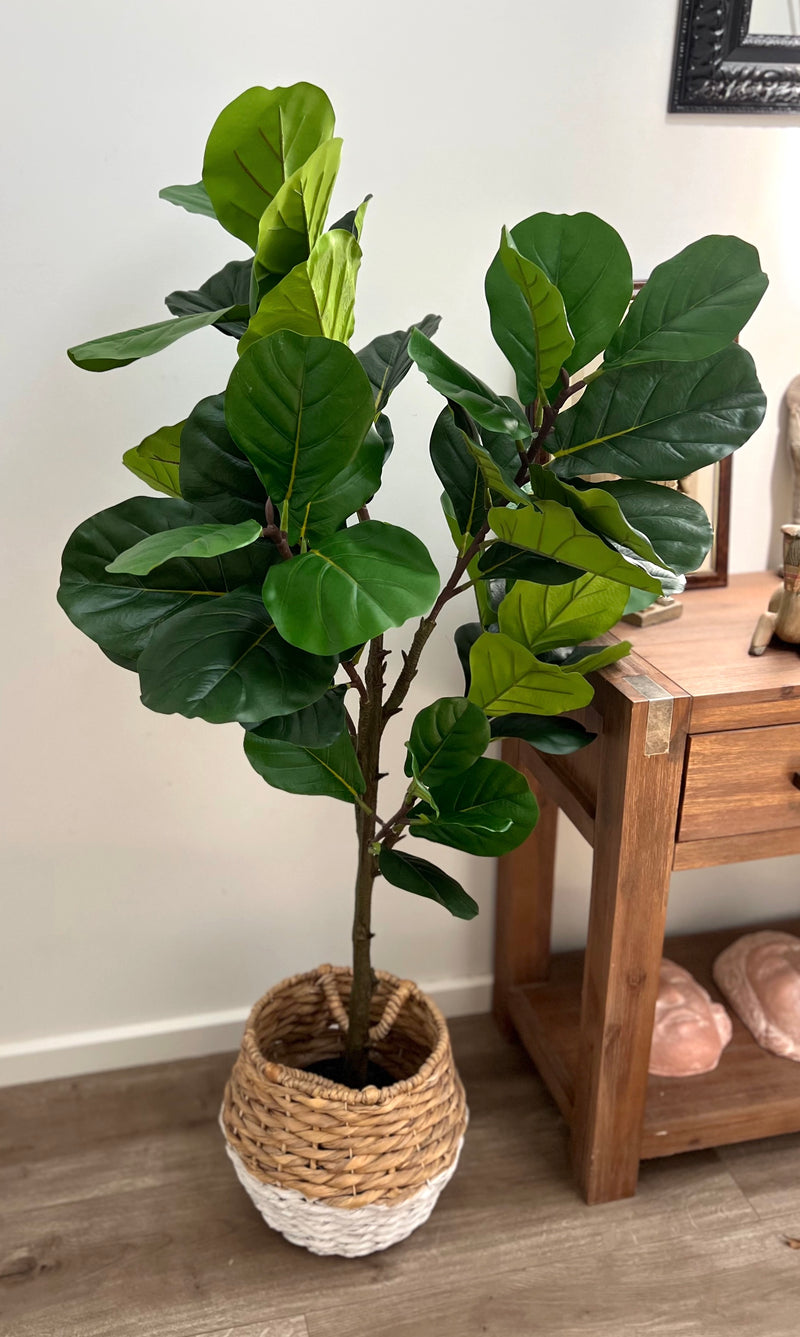 Artificial Potted Fiddle Leaf Plant | 135cm