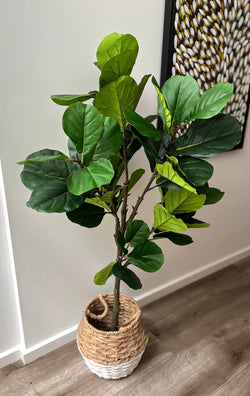 Artificial Potted Fiddle Leaf Plant | 135cm