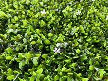 Load image into Gallery viewer, VERTICAL GARDEN PANELS UV RESISTANT 50cm X 50cm | Mini White Flower
