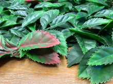 将图片加载到图库查看器，Vertical Garden Panels UV Resistant 50cm x 50cm | Holly Leaf
