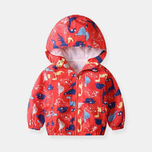 将图片加载到图库查看器，Ziggy Windbreaker | 4 Colours
